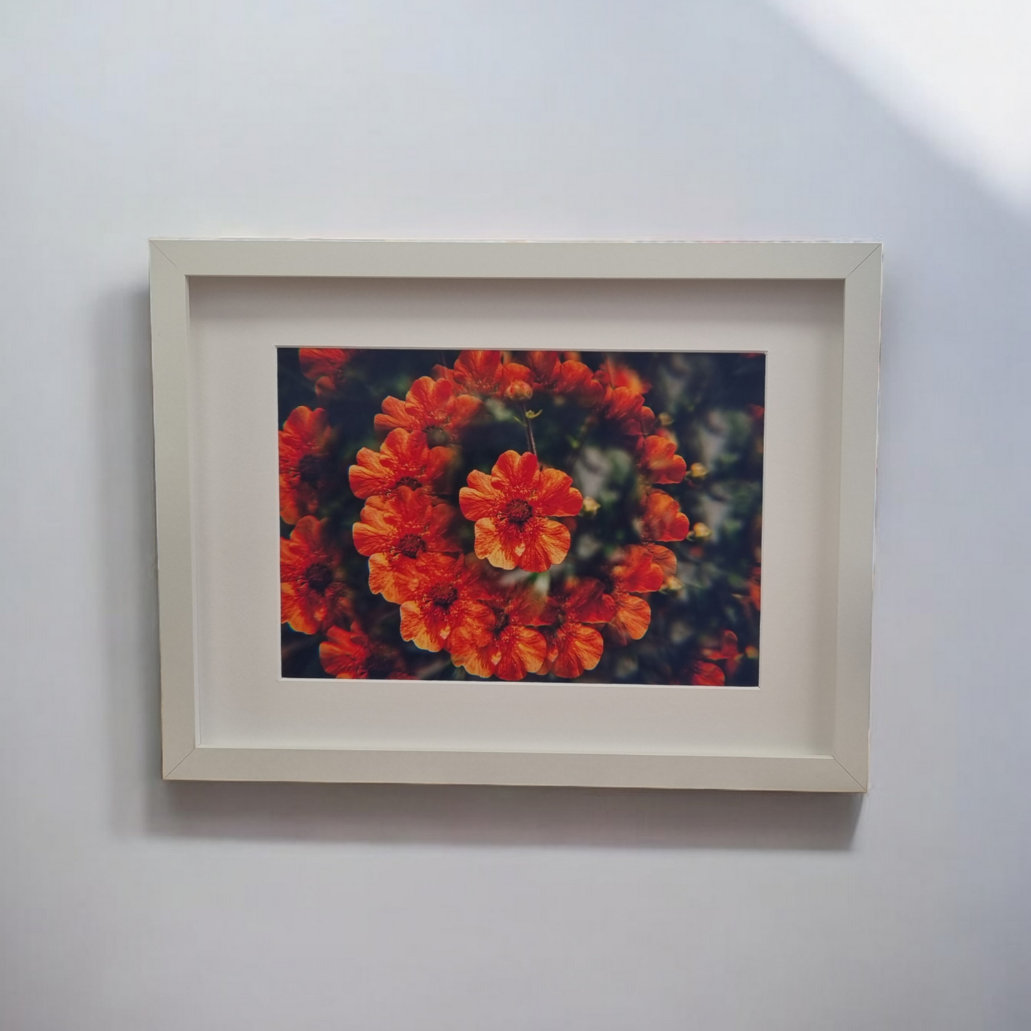 Orange Flower Kaleidoscope by Derek Stuart-Cole